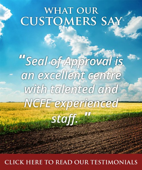 What Our Customers Say